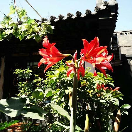 Pingyao Tian Yi Hostel Kültér fotó